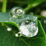 waterdrops 3