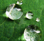 waterdrops 5 by GreenMusic