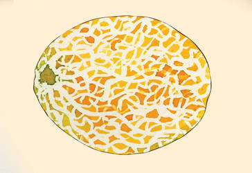 Cantaloupe