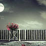 Moon Balcony Premade  Background  - Free Stock