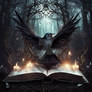 Magic Fantasy Dark Book 002