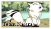 Team Kirara