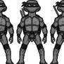 Teenage Mutant Ninja Turtles (Mirage Comics)