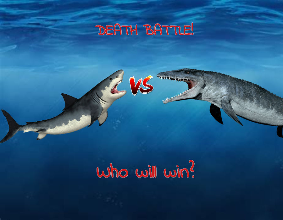 Mosasaurus vs Megalodon by TitanusAnguirus on DeviantArt