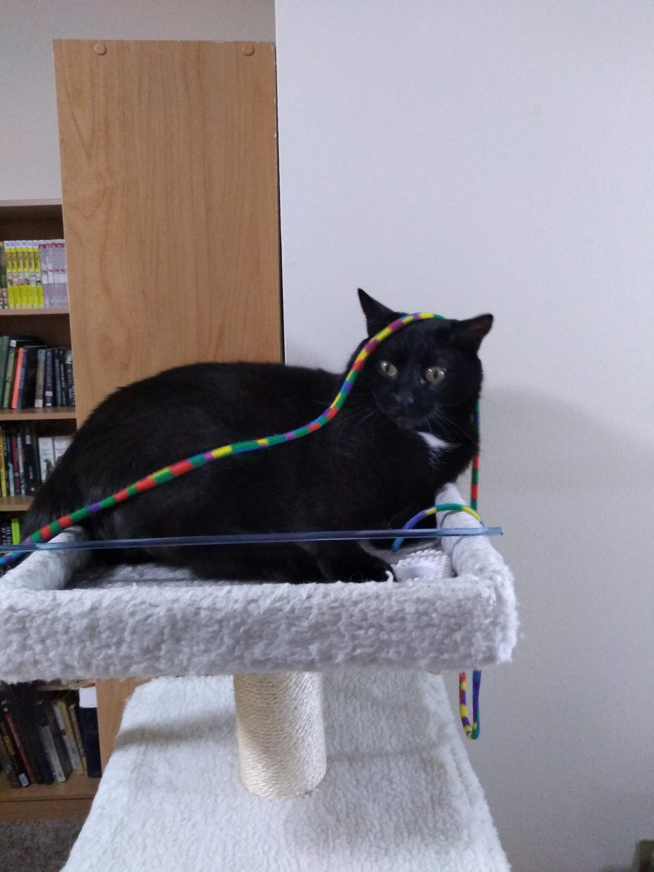 String Captured! by KittySib on DeviantArt