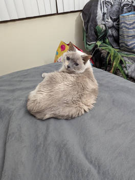 Yes?