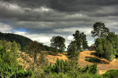 HDR Landscape