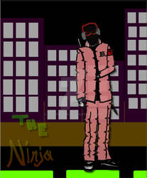 The NINJA