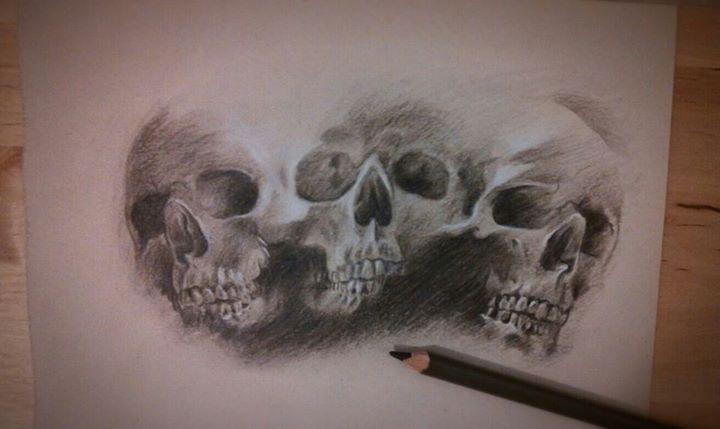 skull study