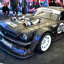 Hoonicorn