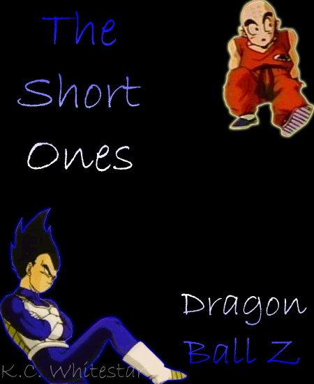 The Short Ones DBZ