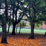 The Regent's Park