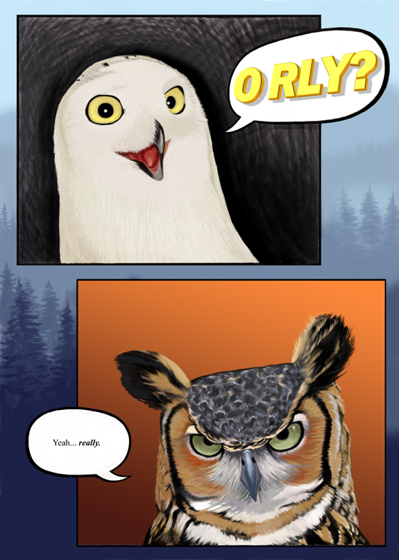 Ya Rly Owl