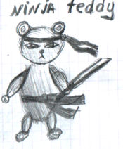 Ninja Teddy