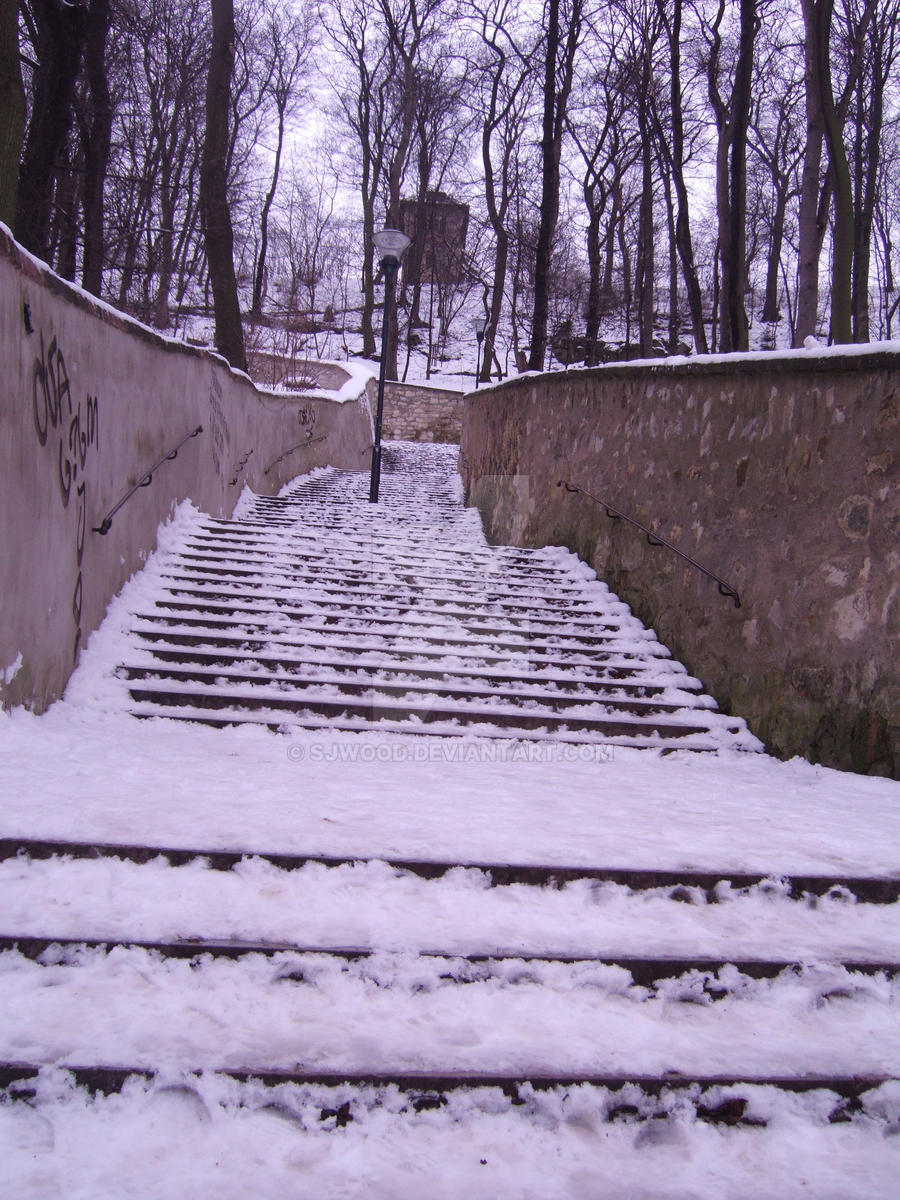 Snow Steps