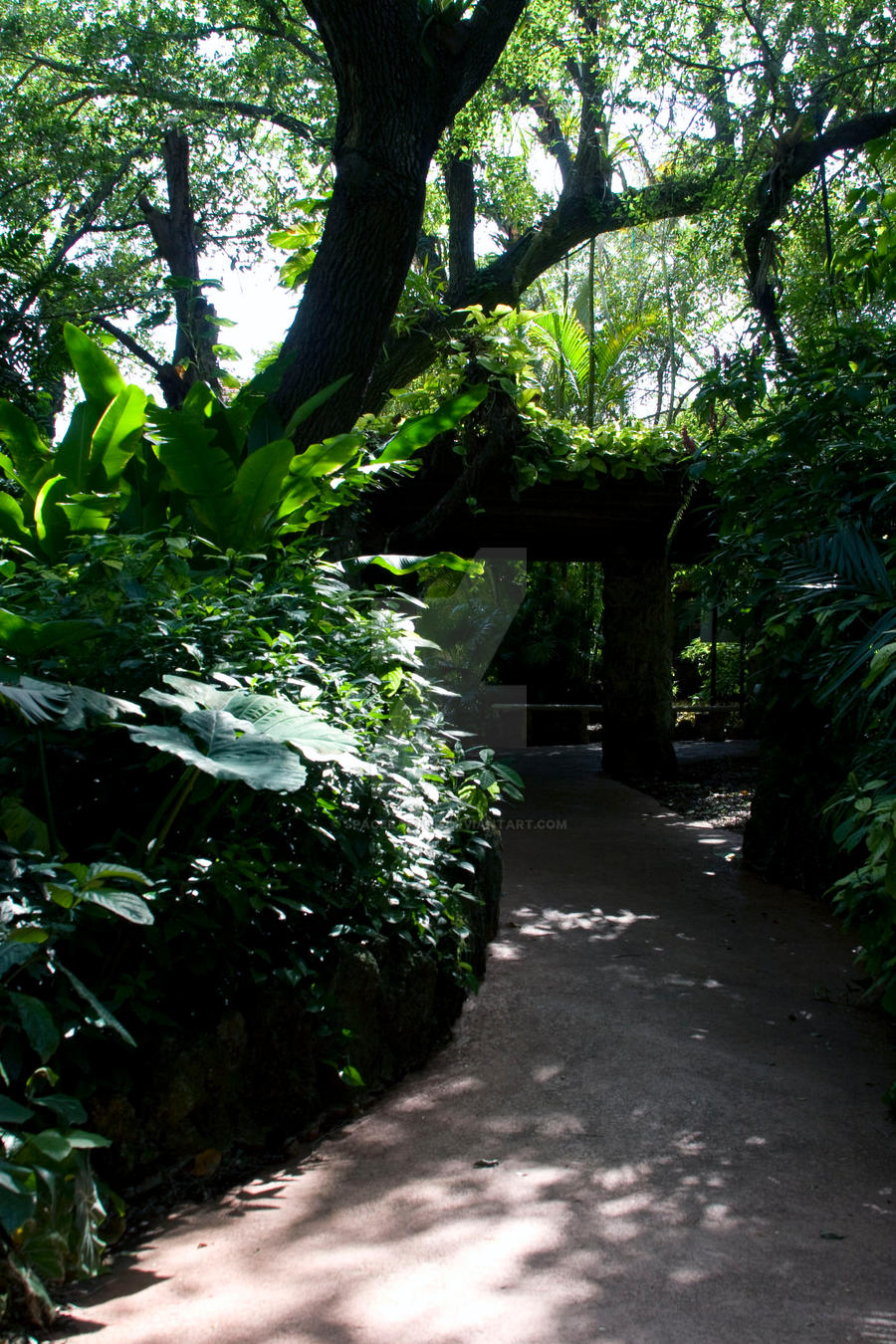 Jungle Path by spaceraptor on DeviantArt