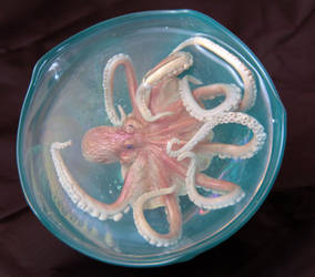 Octopus in a Bowl