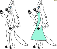 Glace the arctic wolf
