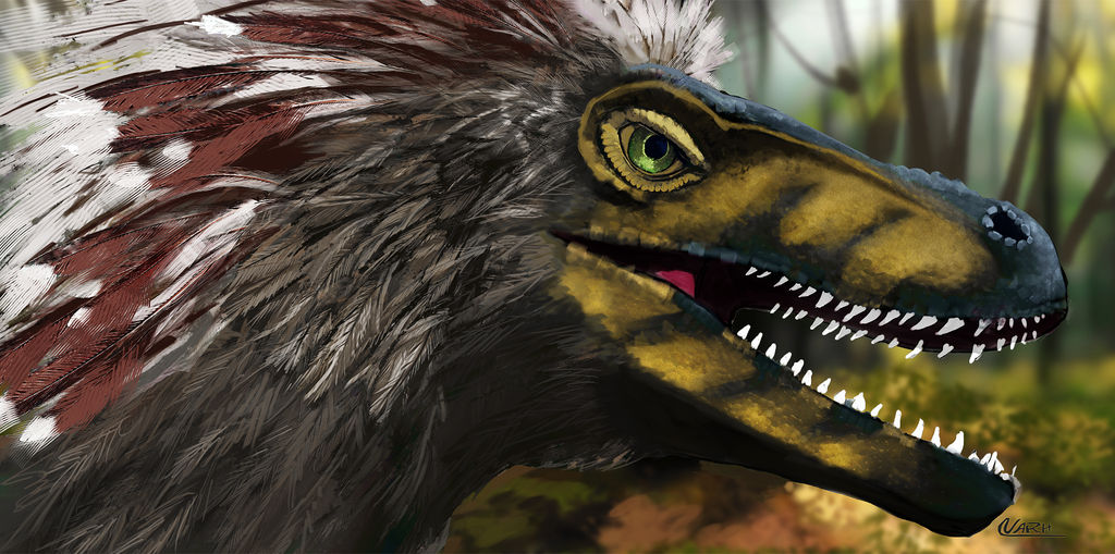 Raptor Ruffle Floof-Raptor by Narhwhal on DeviantArt