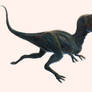 Albertosaurus redux