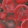 Red Fruit