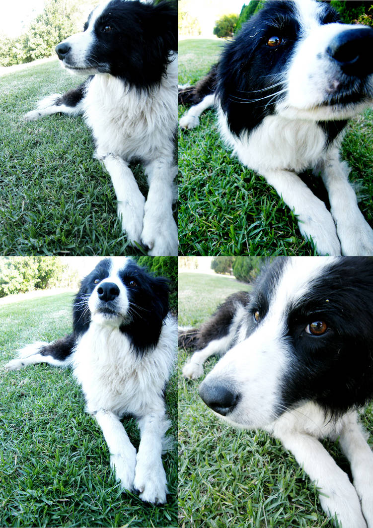 Multitasking by inspired-by-fire on DeviantArt