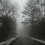 foggy road stock1