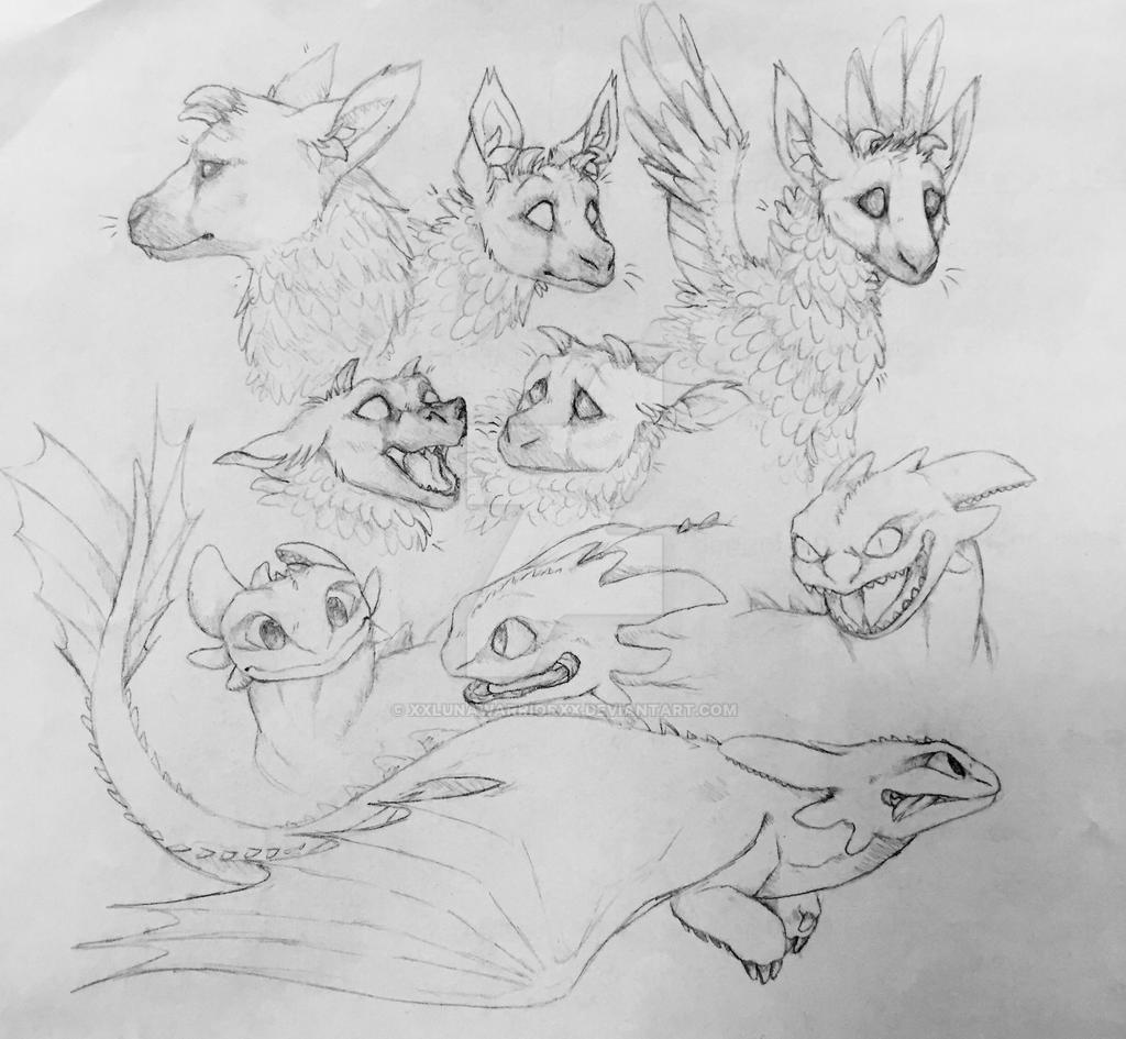 Trico and Toothless doodles