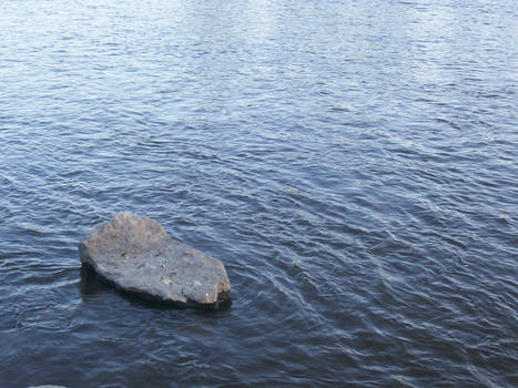 Hey look.. A rock