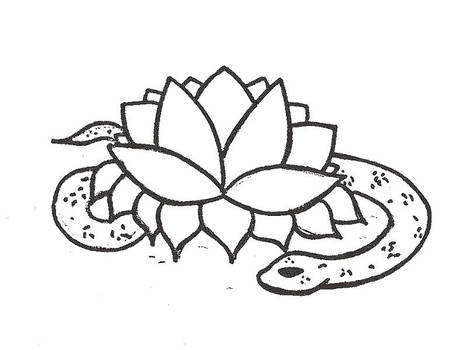 The Lotus Snake