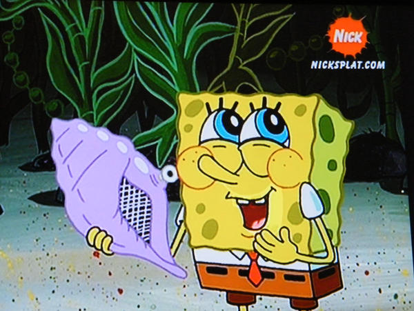 Spongebob Shell Kid Spongebob and shell by CameraCraazy on DeviantArt