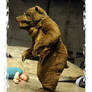 Bear Fursuit -3-