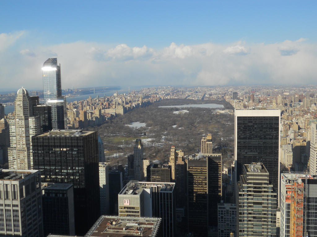 View of Central Park