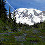 Another View of Mount Rainier