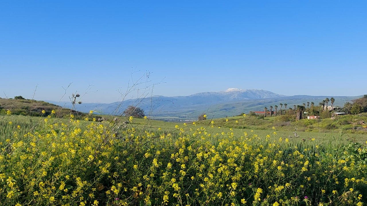 Spring Israel Springtime in Israel by mit19237 on DeviantArt