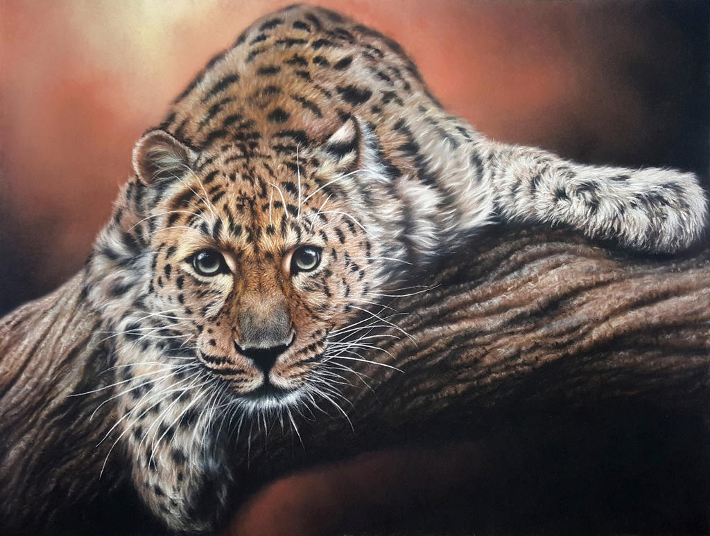 Leopard by daniluc78