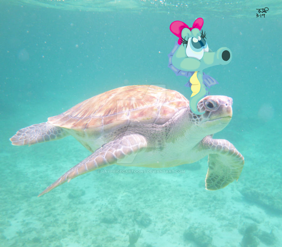 Riding The Turtle by JayPriceCartoons on DeviantArt