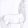 Centaur sketch 2