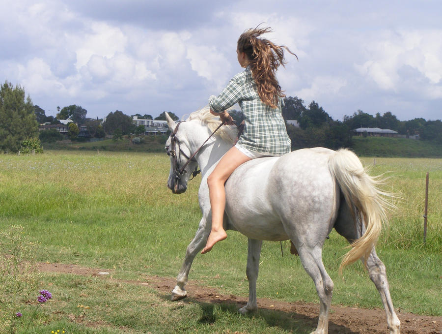 horse running