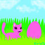 Pink Cat