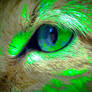 Sand Cat Eye Modified