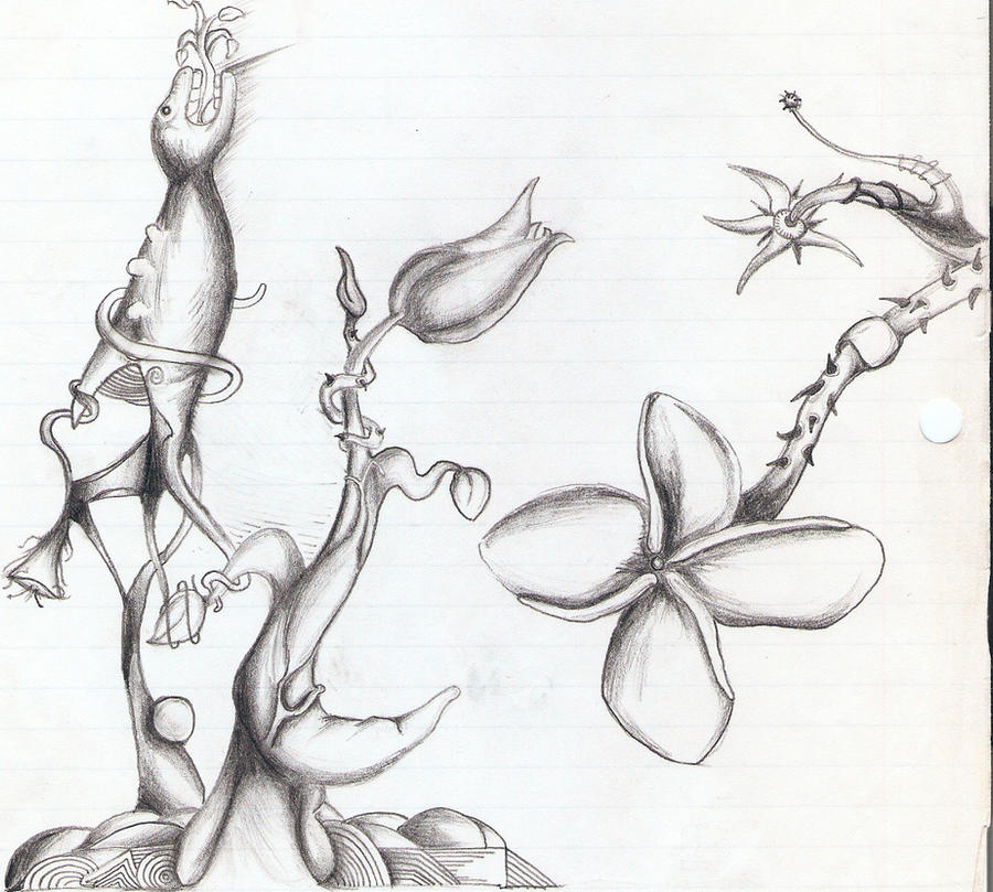 Distorted Plant Drawings Weird Plants by GeorgeN89 on DeviantArt