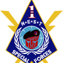 NEST 1st Special Forces Logo