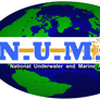 NUMA T-Shirt Logo Design