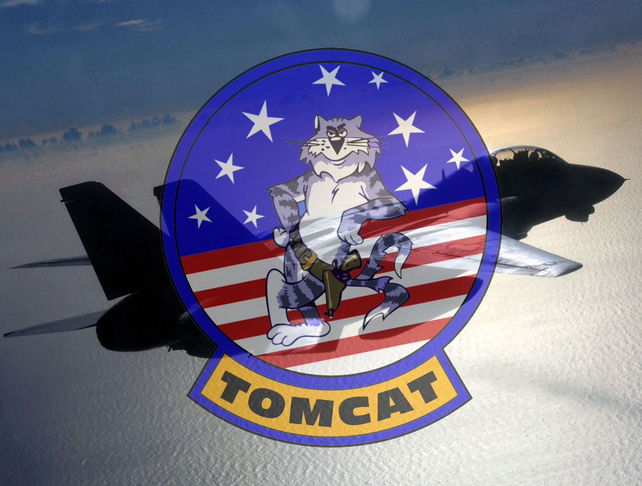 F 14 Tomcat Wallpaper By Viperaviator On Deviantart F 14 Tomcat Wallpaper By Viperaviator On Deviantart