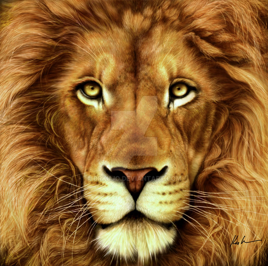 Cowardly Lion by DrKujo