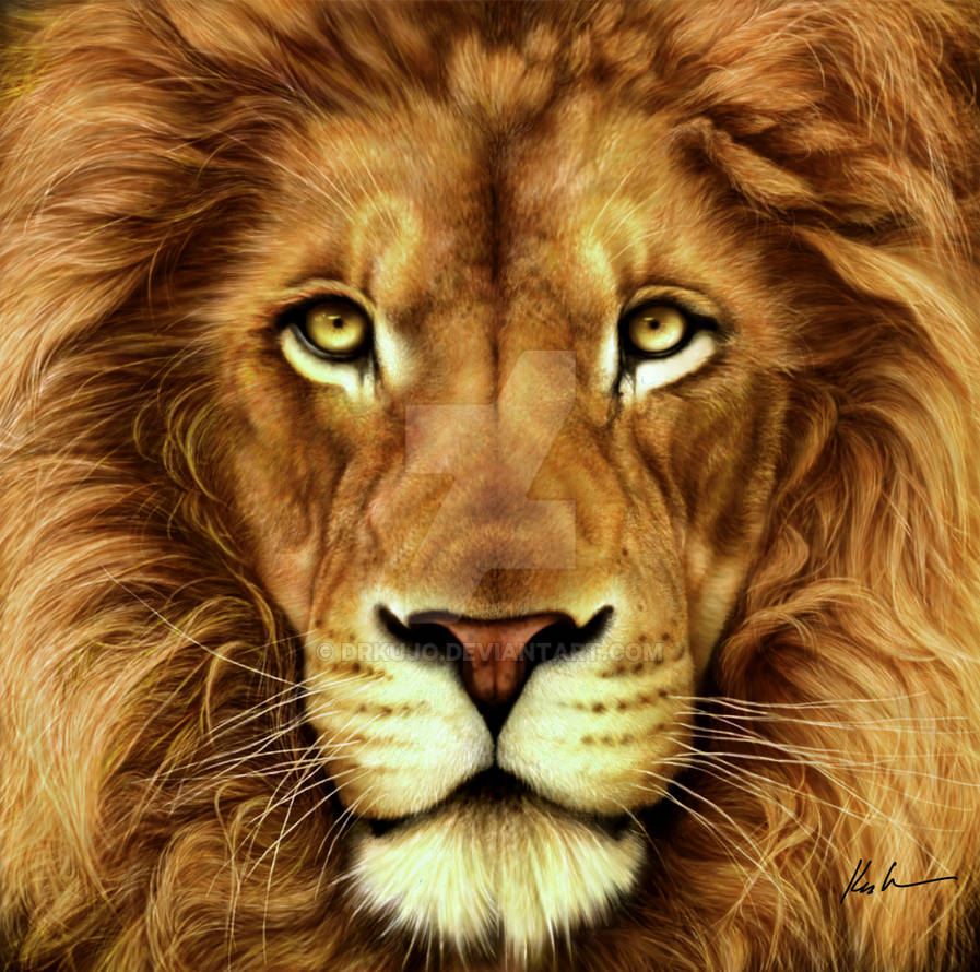 Cowardly Lion by DrKujo Cowardly Lion by DrKujo