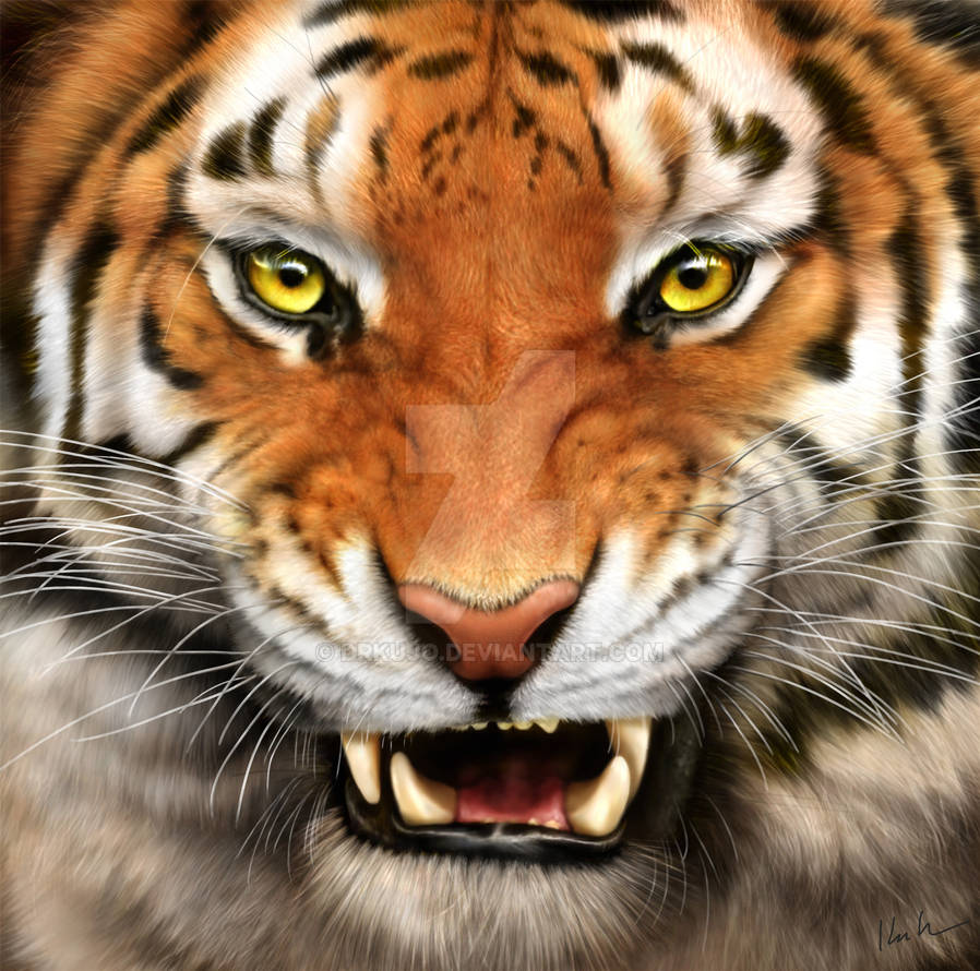 Lions, and Tigers, and Bears by DrKujo Lions, and Tigers, and Bears by DrKujo