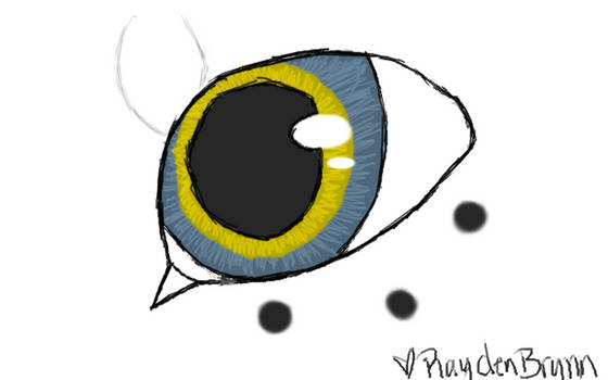 Rayden Eyeshot