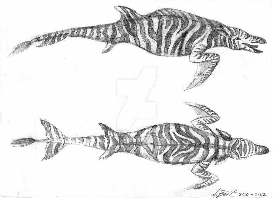 Creature Profile - Zebra Dolphin